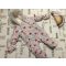 F§F 3-6 hó  68 cm 8 kg cica fej mintás polár béléses lány téli overál/ overall -újszerű,hibátlan